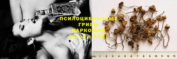 молекула духа Абаза