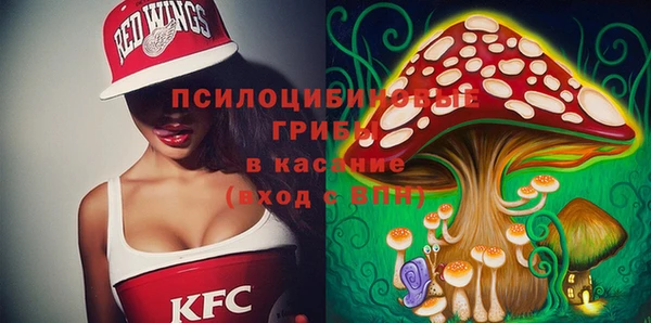 спайс Алексин