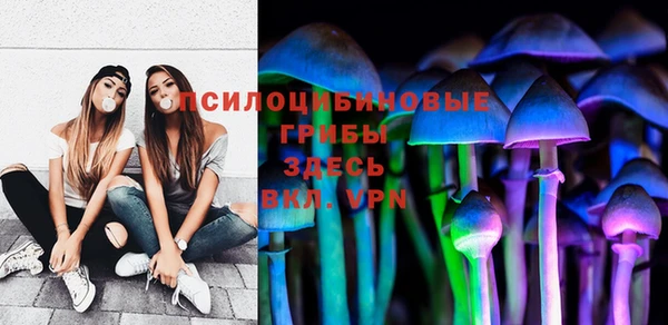 PSILOCYBIN Алексеевка