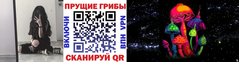 дарнет шоп  Карасук  OMG tor  Галлюциногенные грибы Psilocybe 